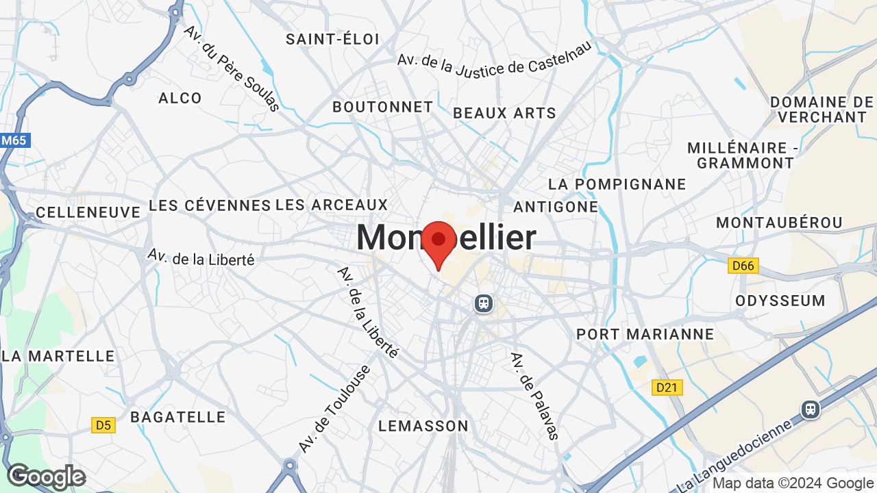 Google map