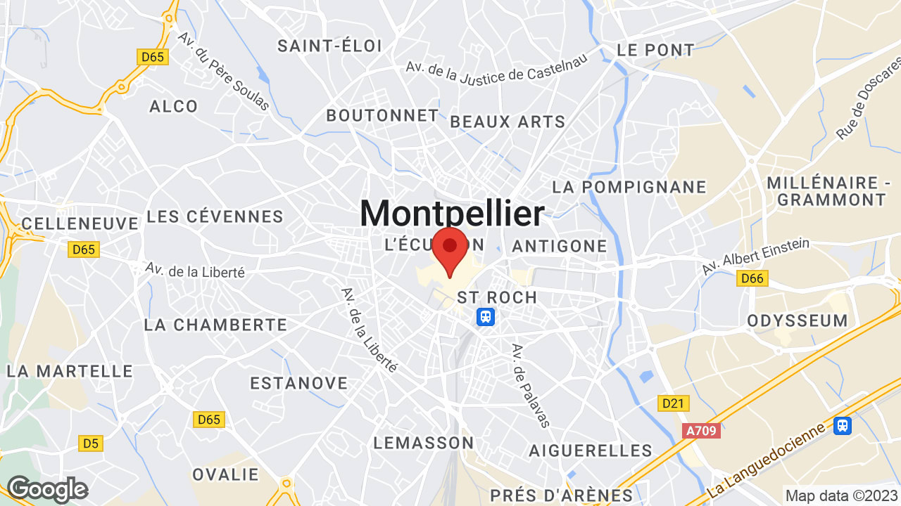 Google map