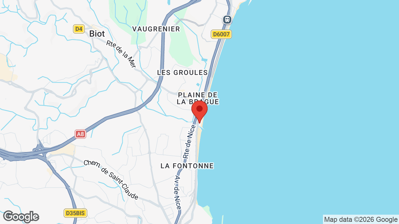 Google map