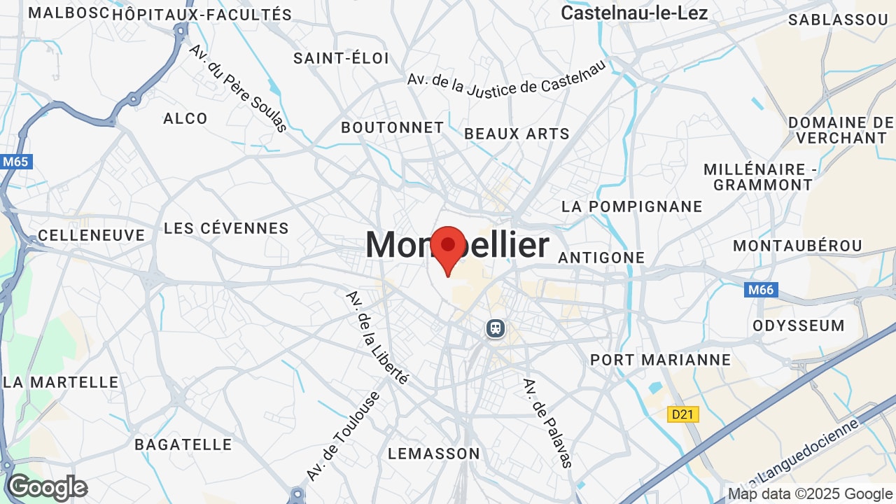 Google map