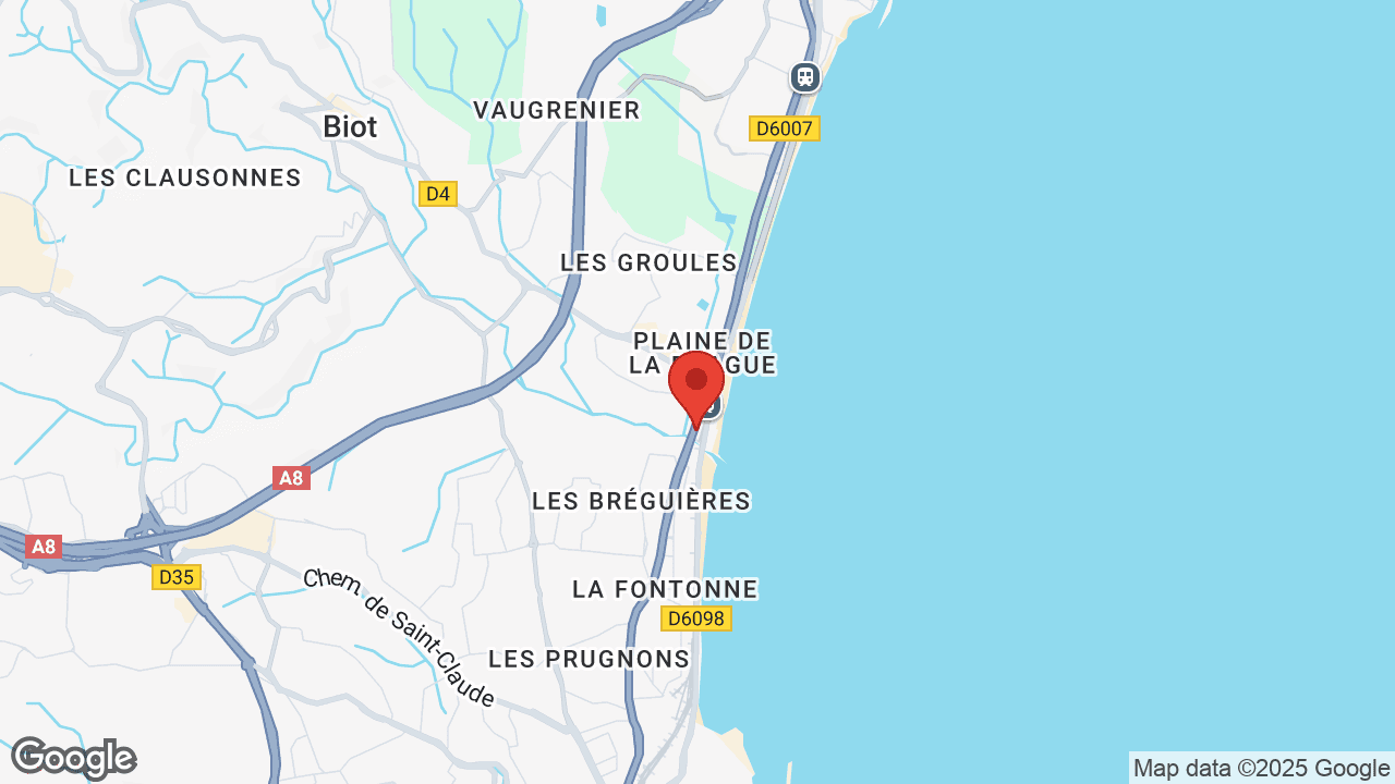 Google map