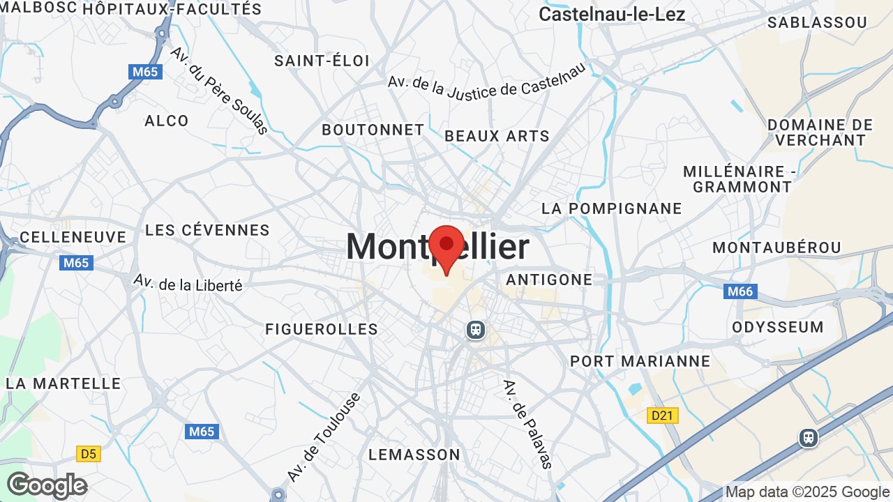 Google map