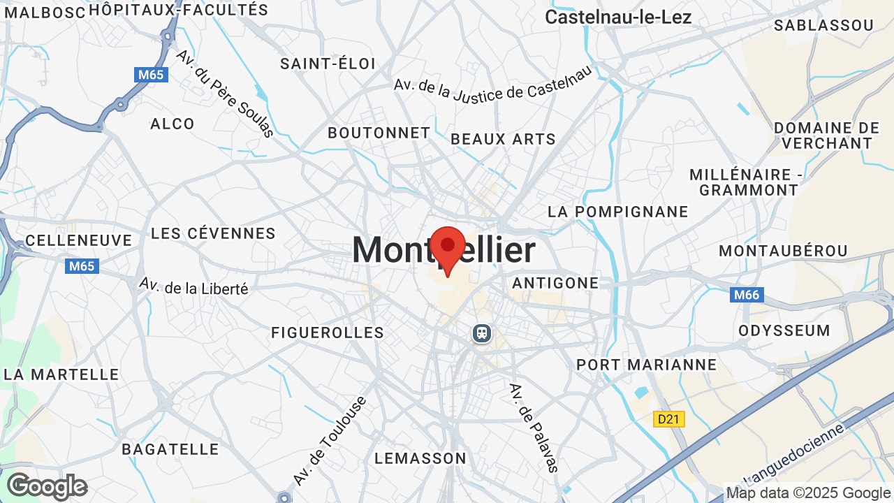 Google map