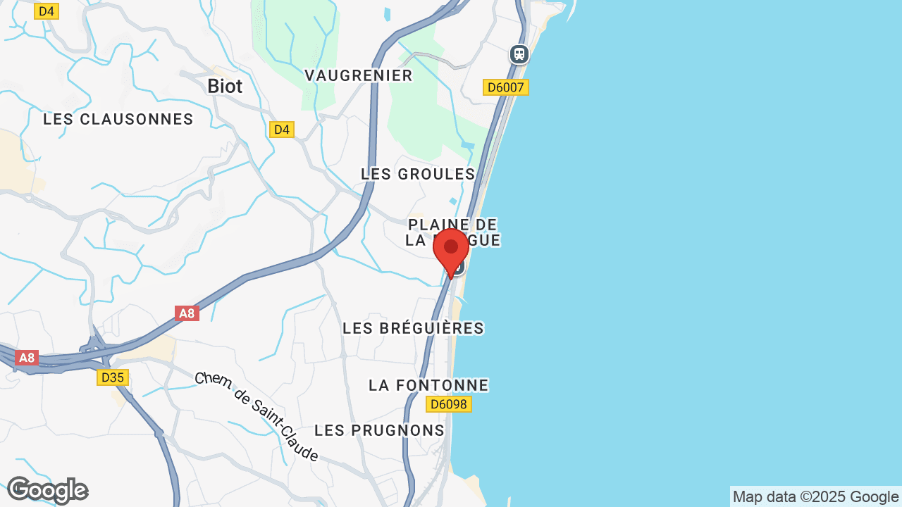 Google map