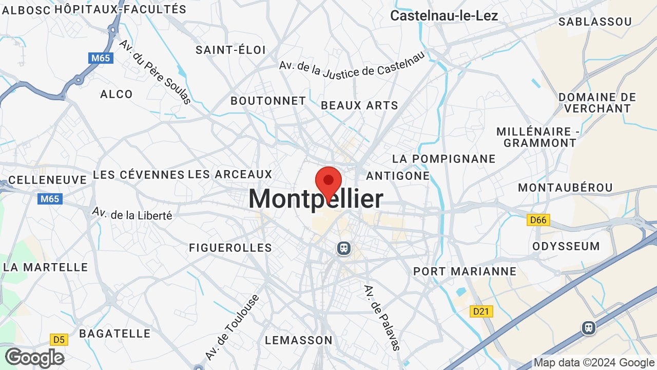 Google map