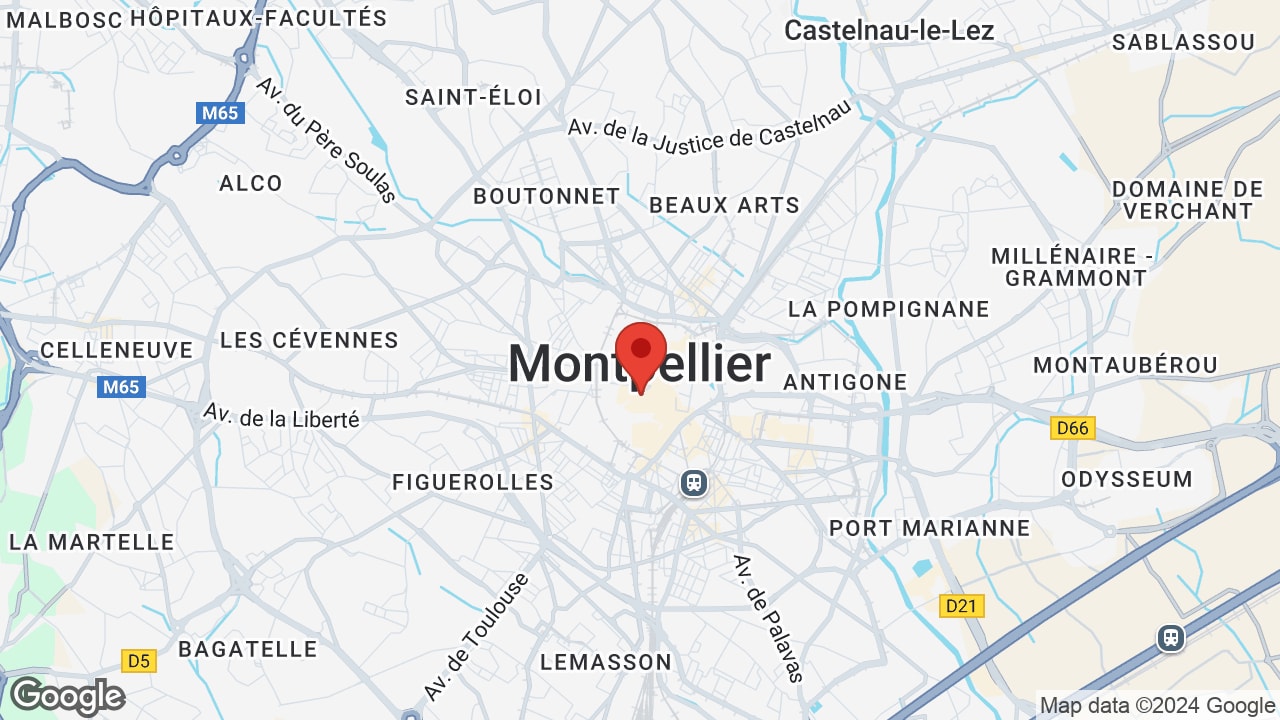 Google map