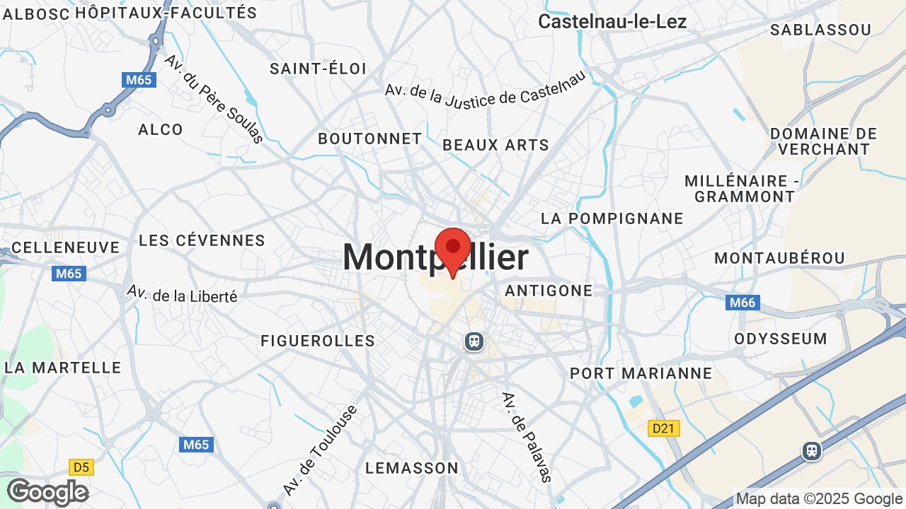 Google map