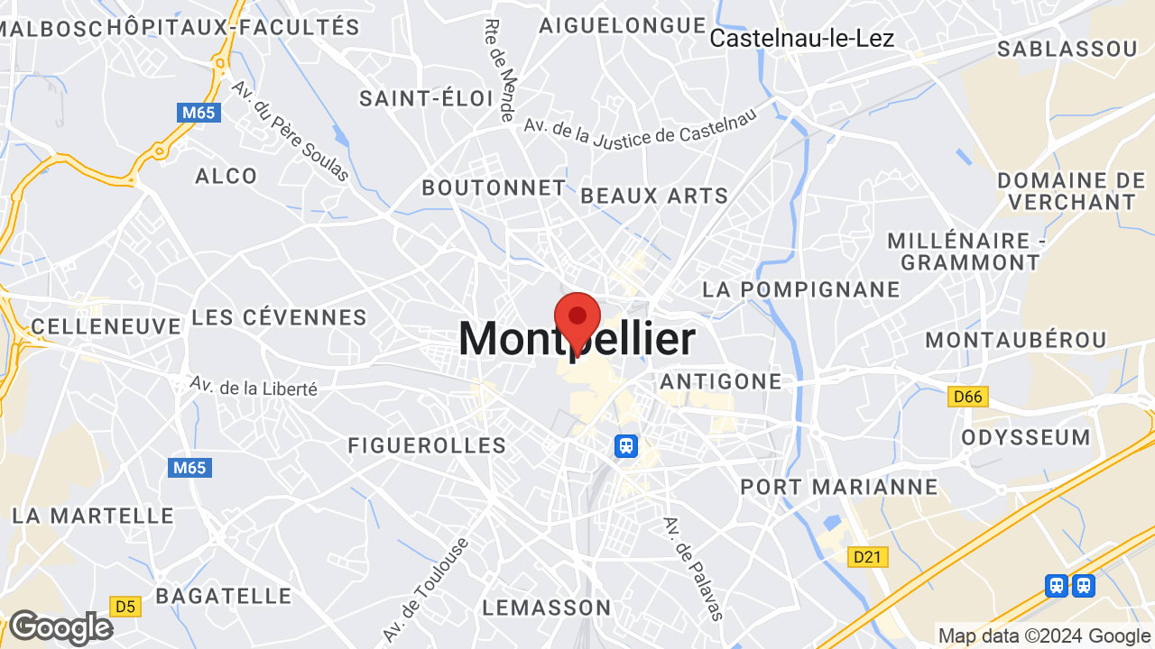 Google map