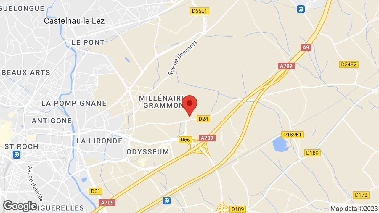 Google map