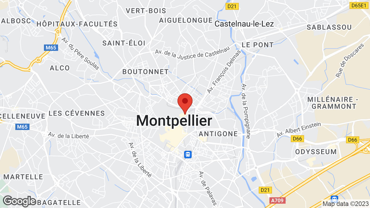 Google map