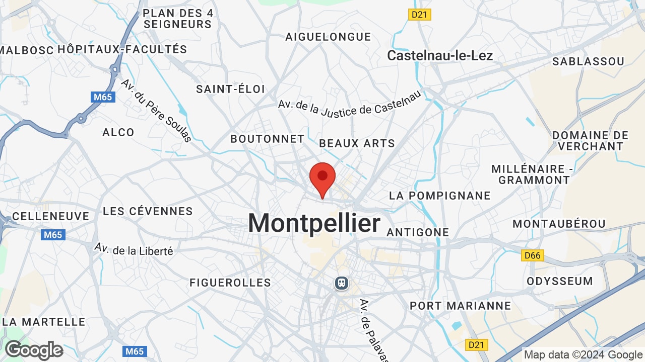 Google map