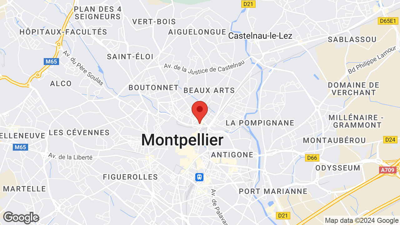 Google map