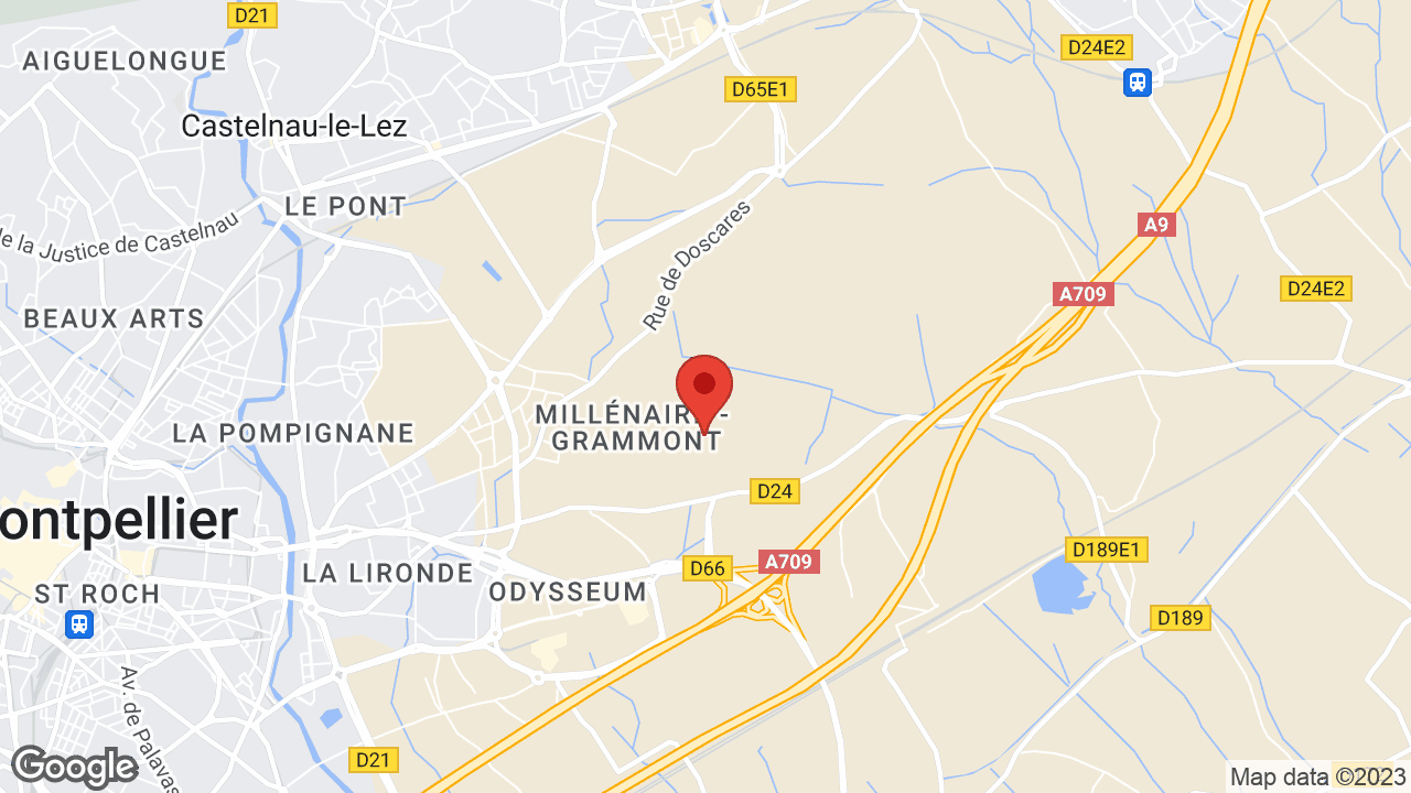 Google map