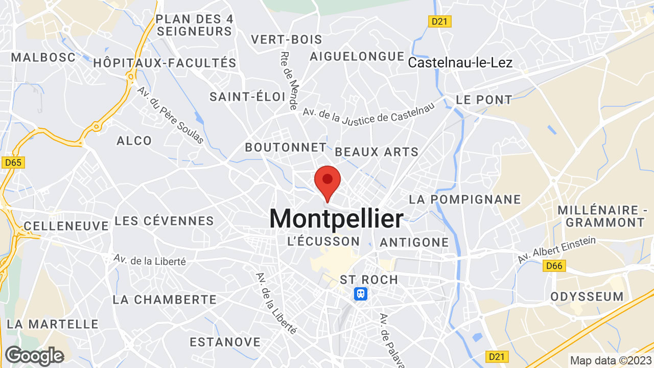 Google map