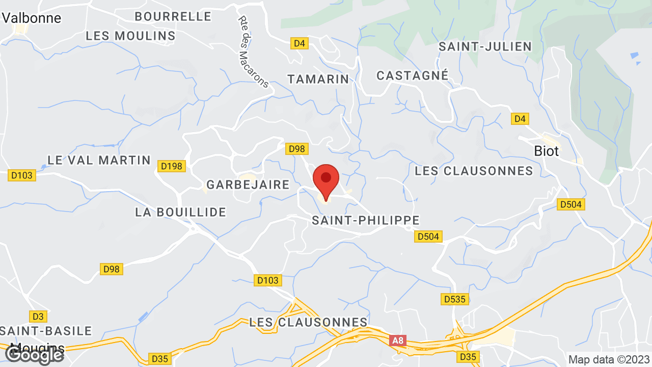 Google map