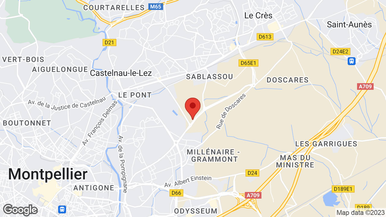 Google map