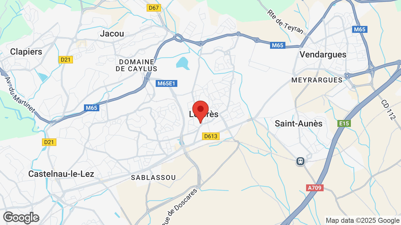 Google map