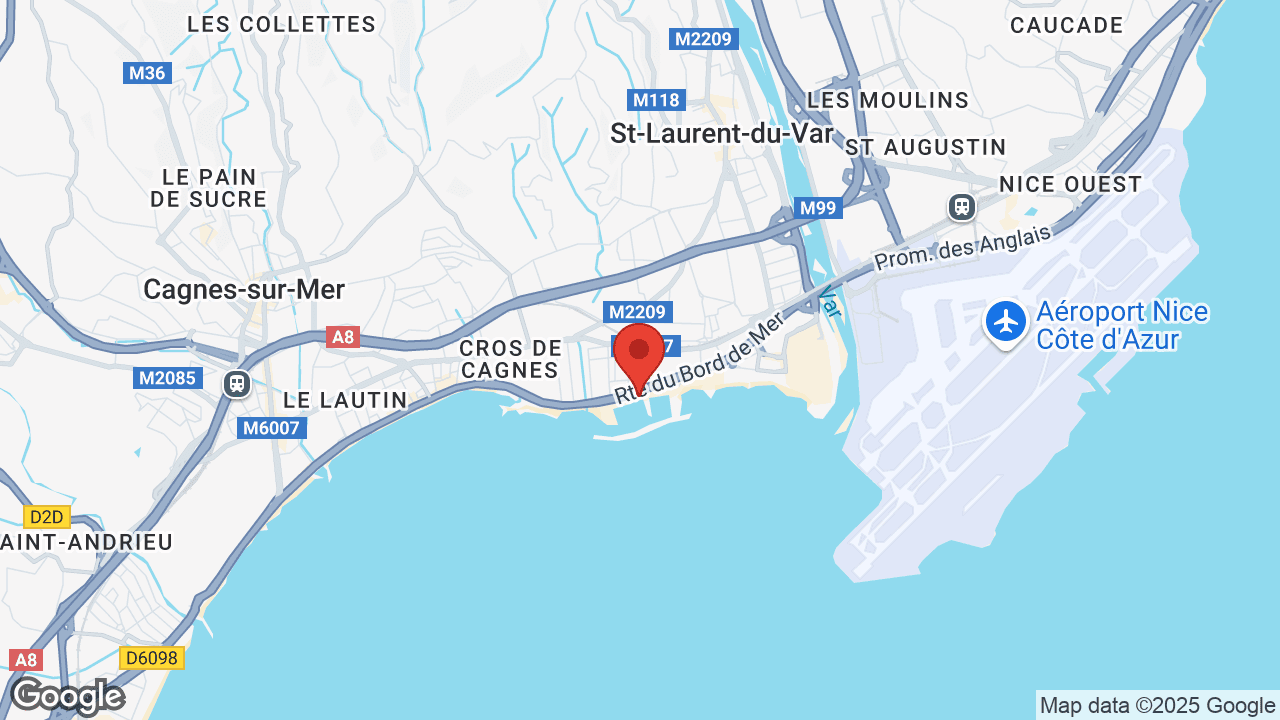 Google map