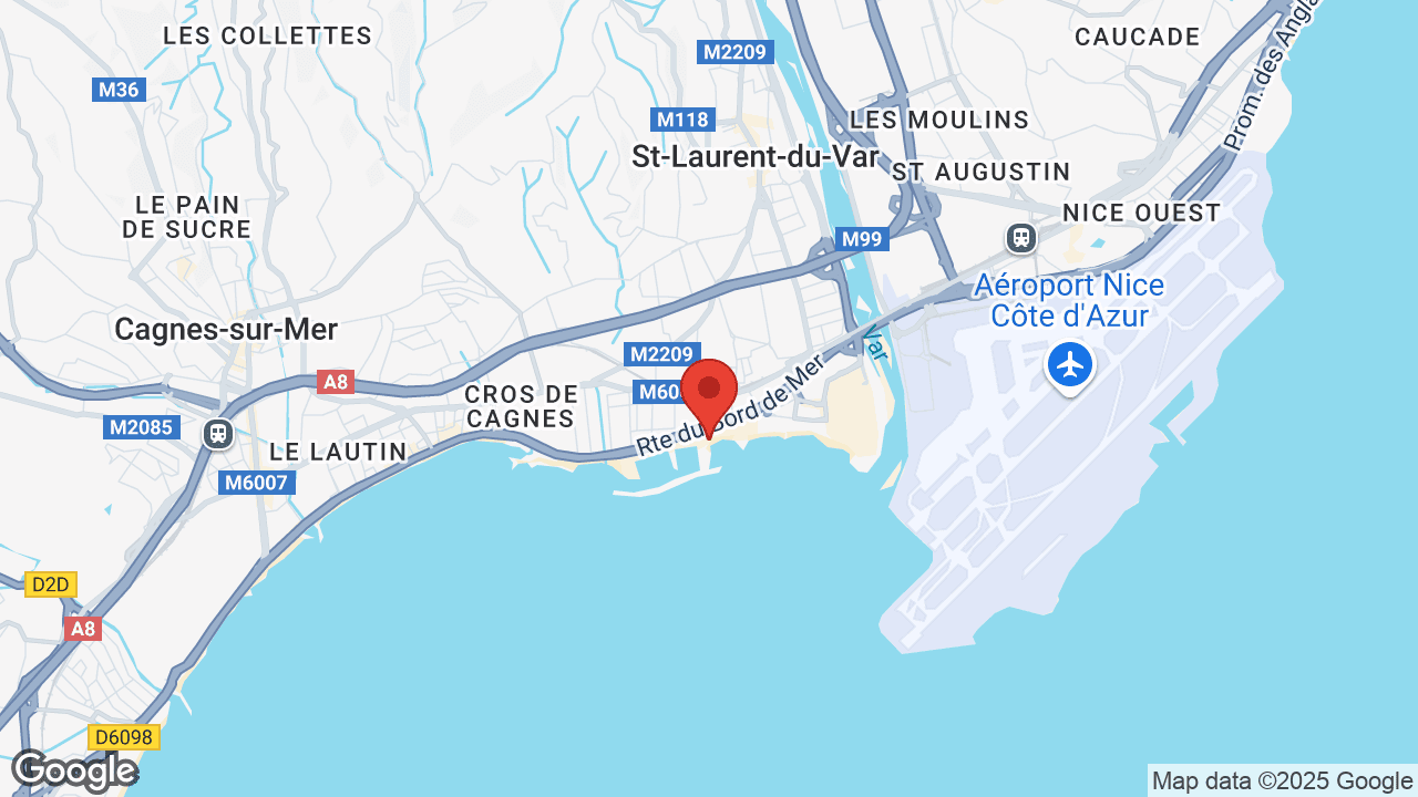 Google map