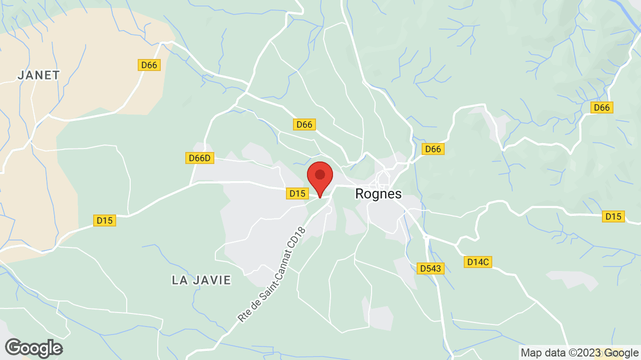 Google map