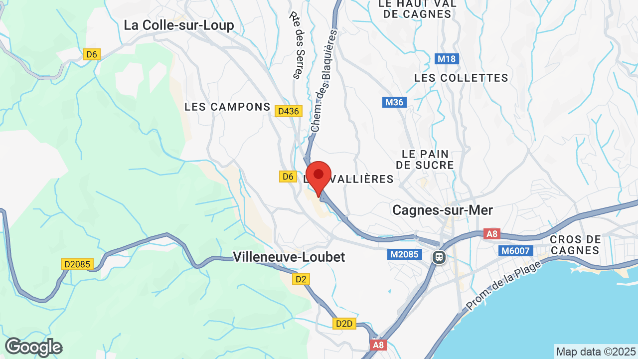 Google map