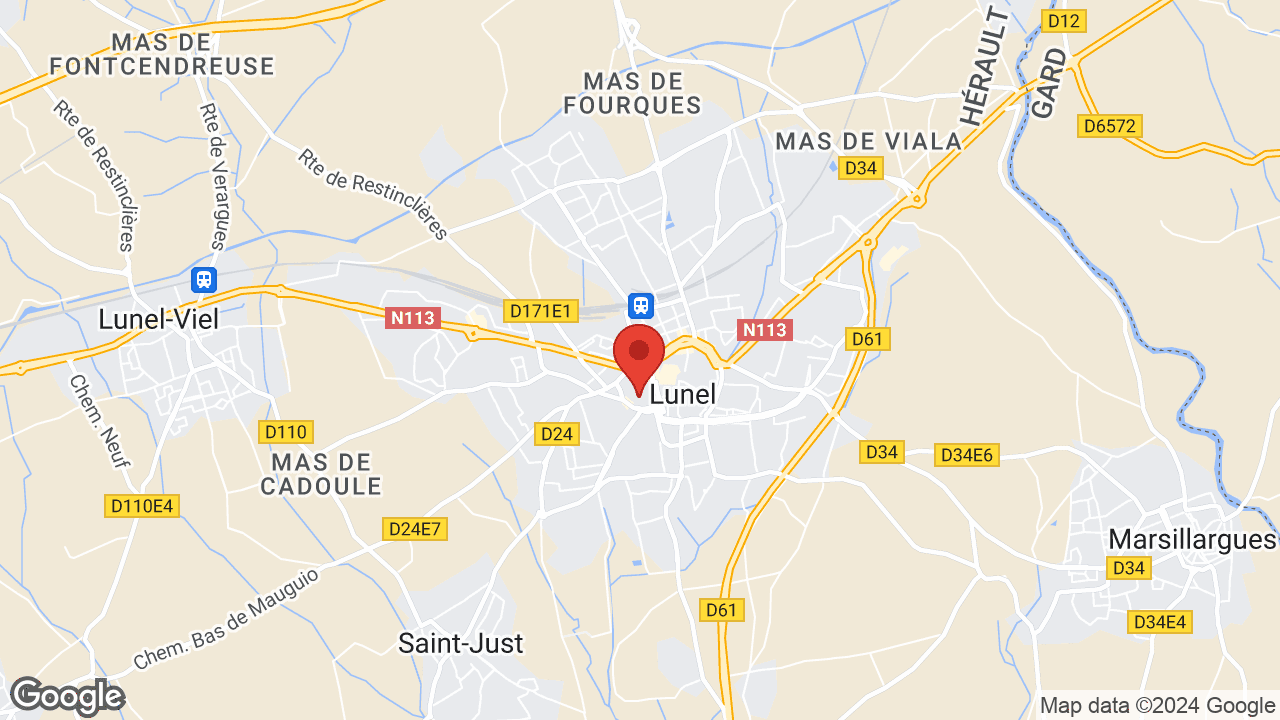 Google map