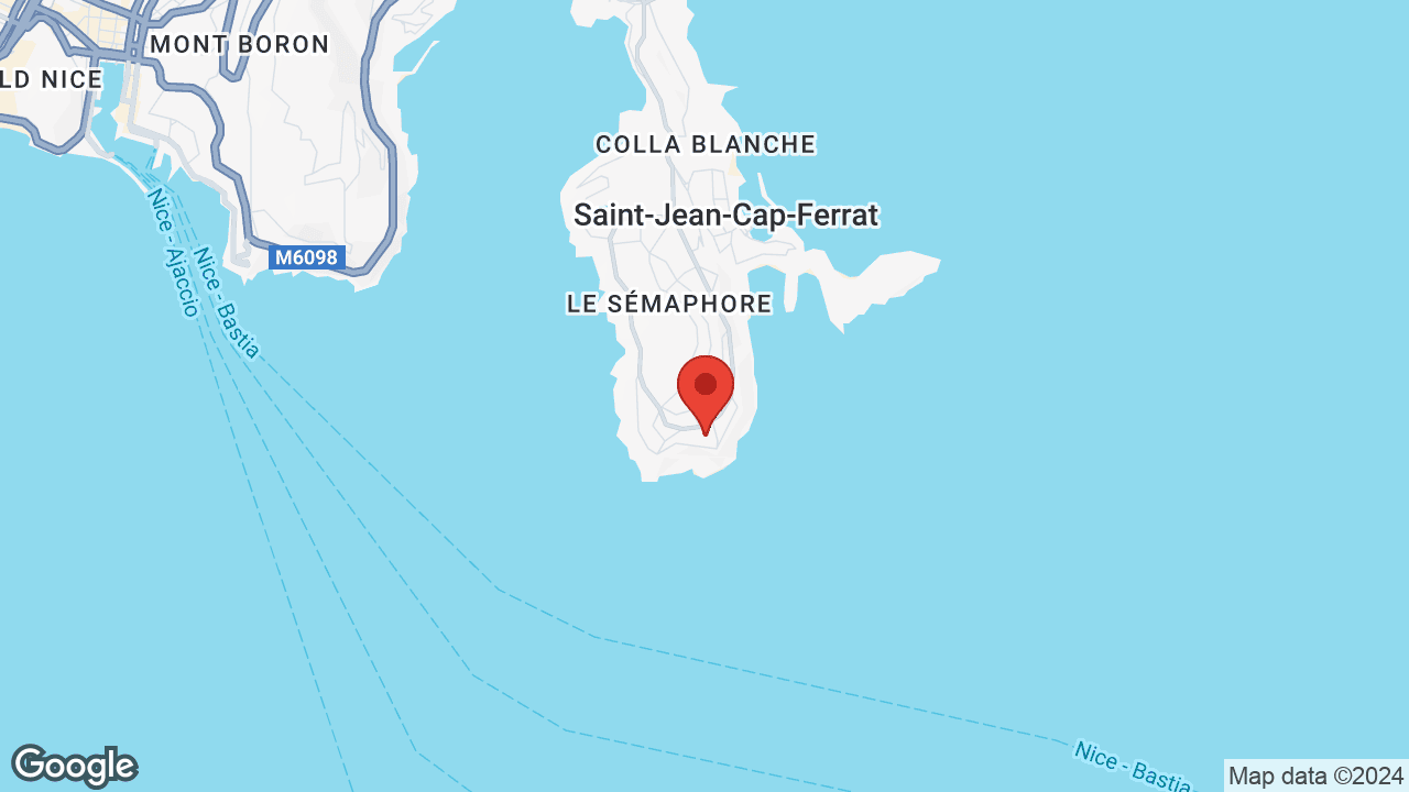 Google map