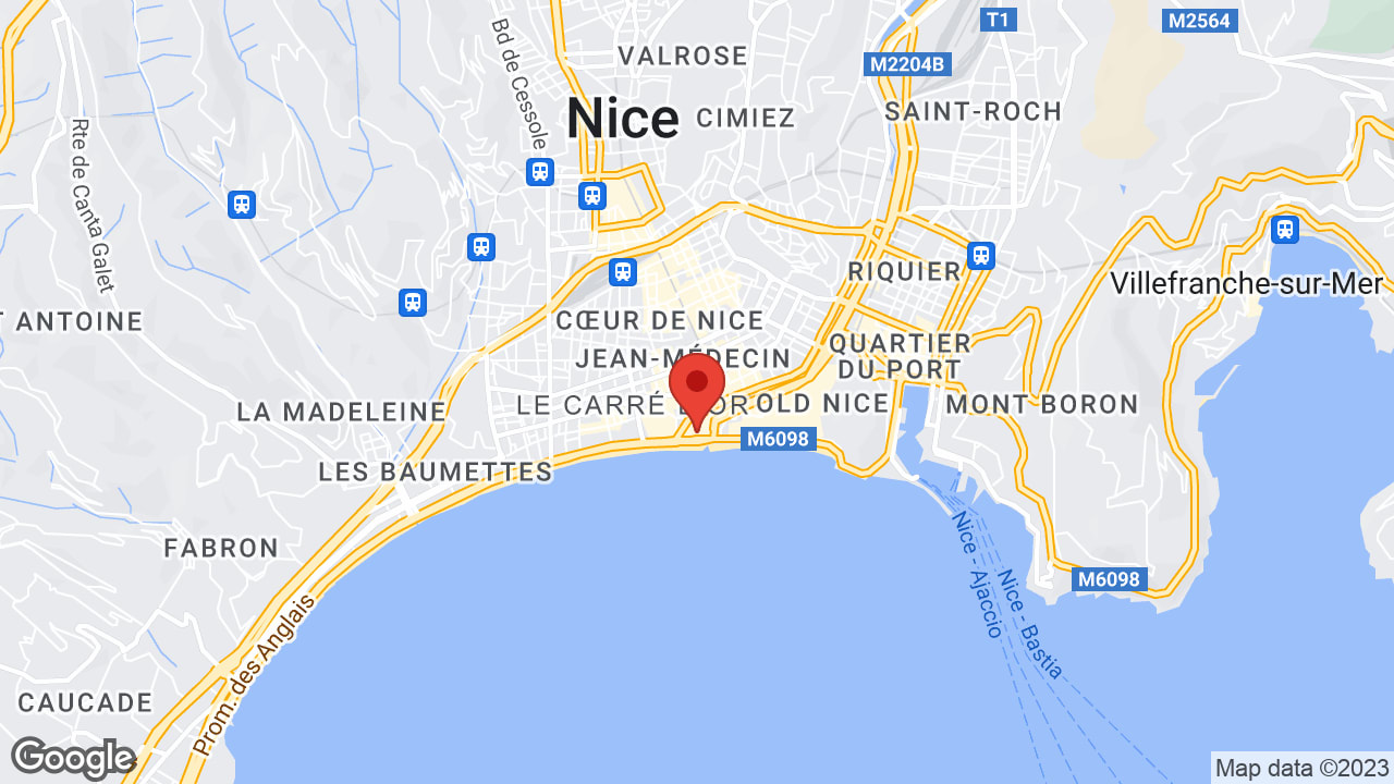 Google map