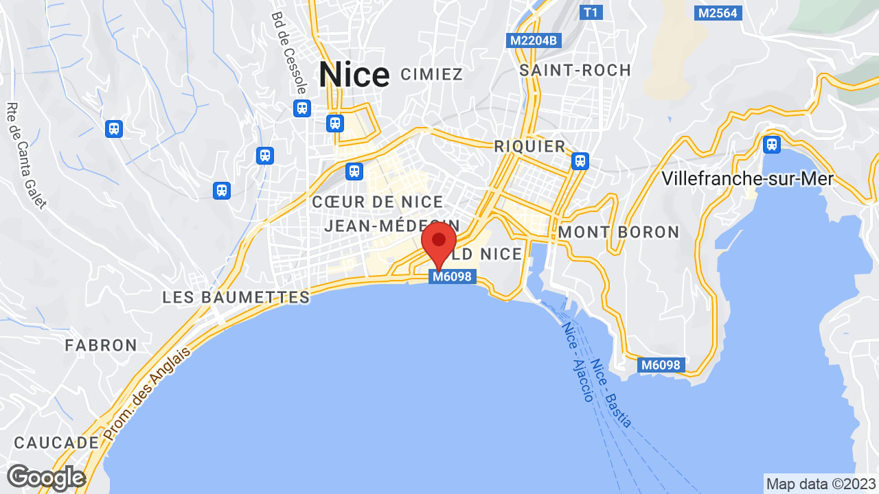 Google map
