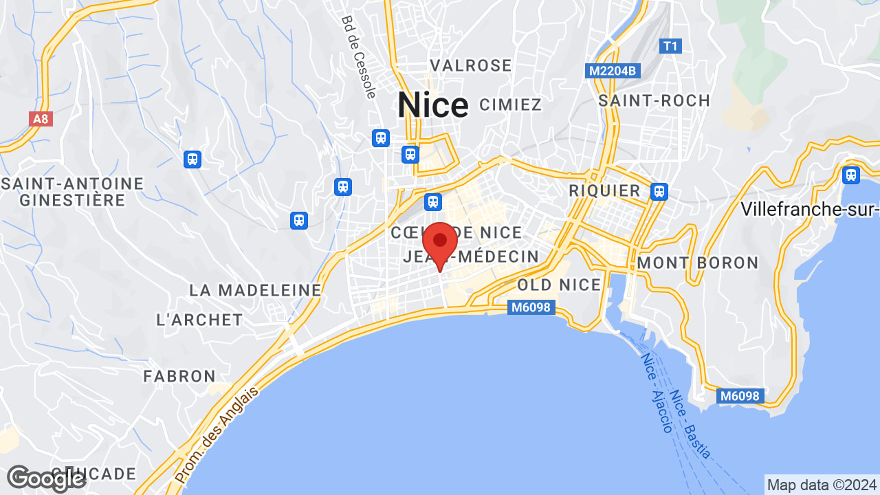 Google map