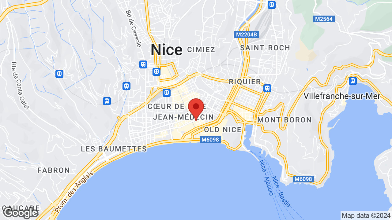 Google map