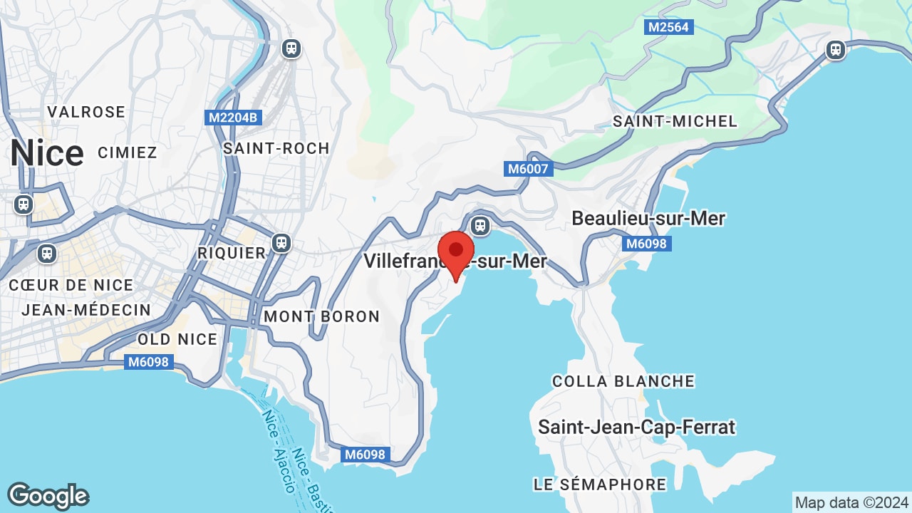 Google map
