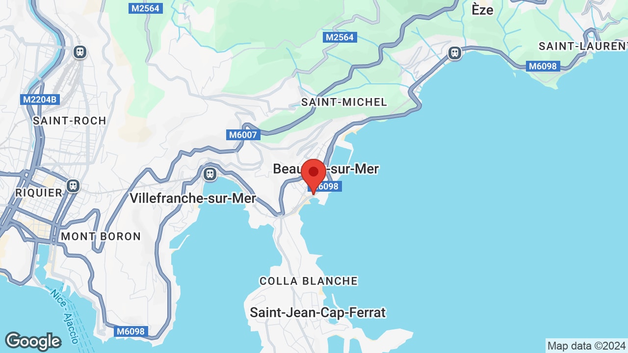 Google map