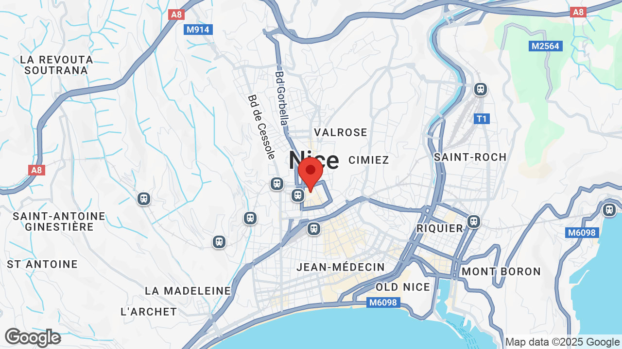 Google map