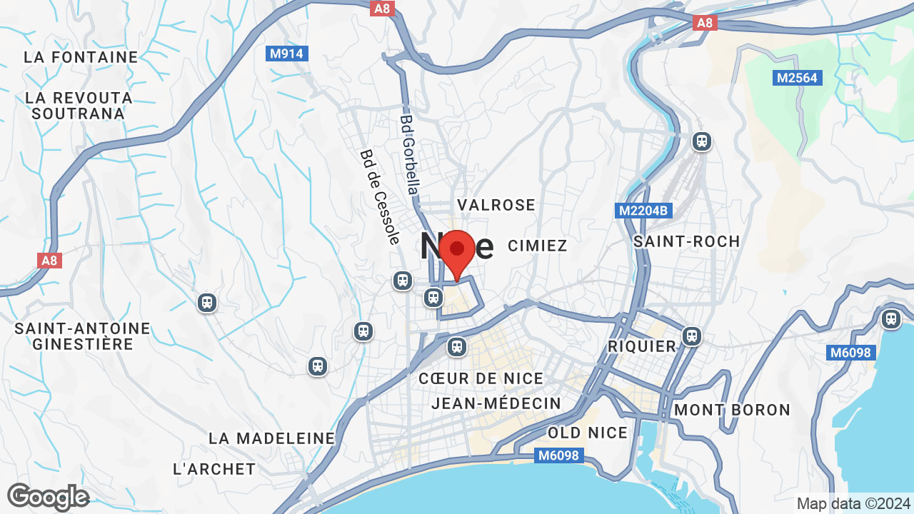 Google map
