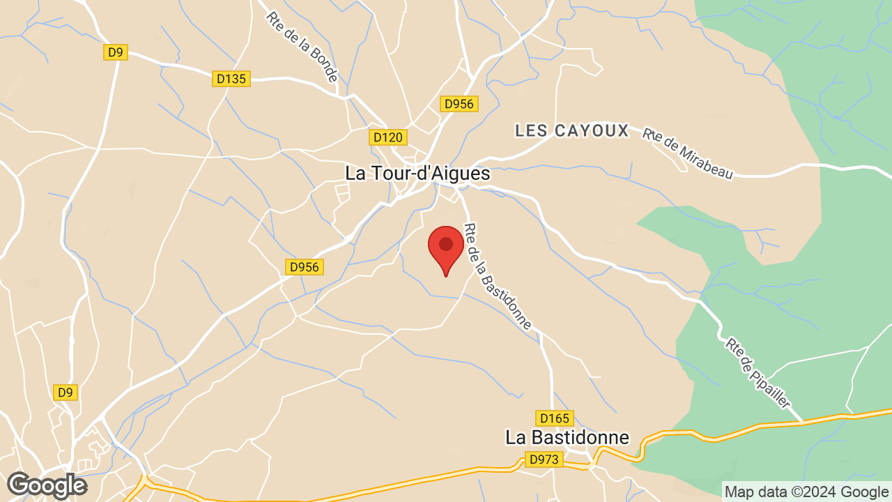 Google map