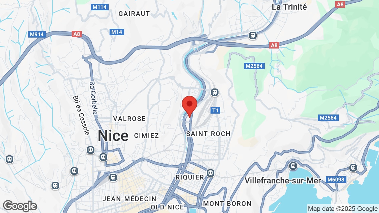 Google map