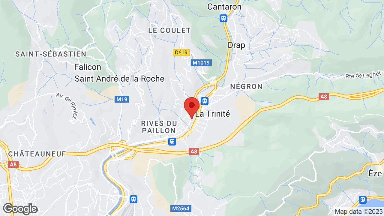 Google map