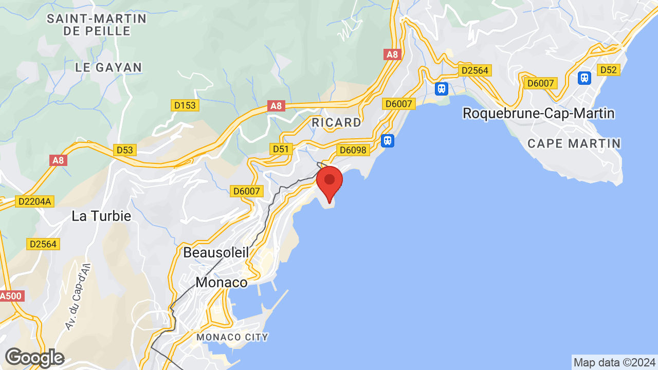 Google map
