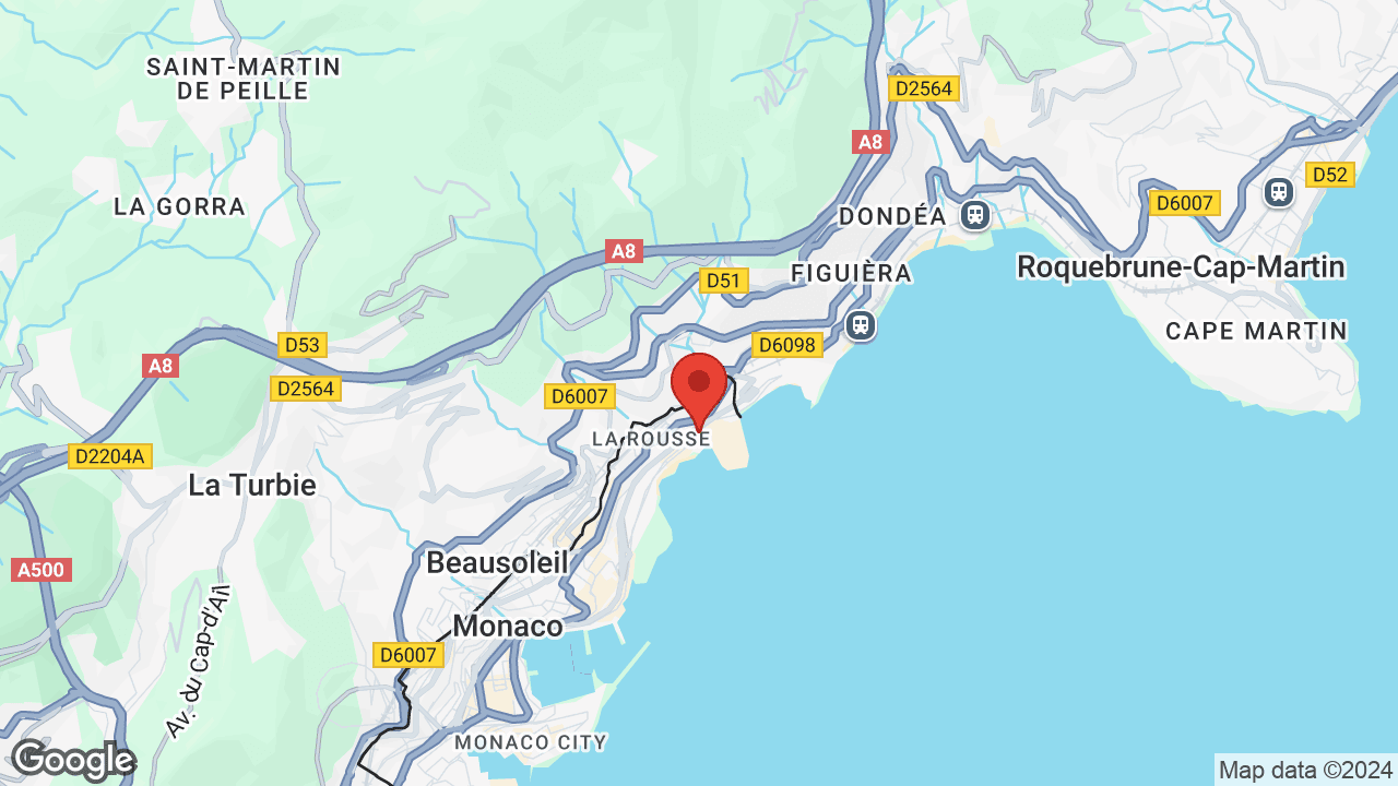 Google map