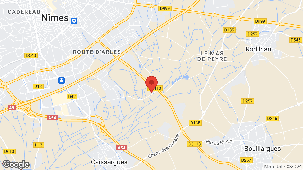 Google map