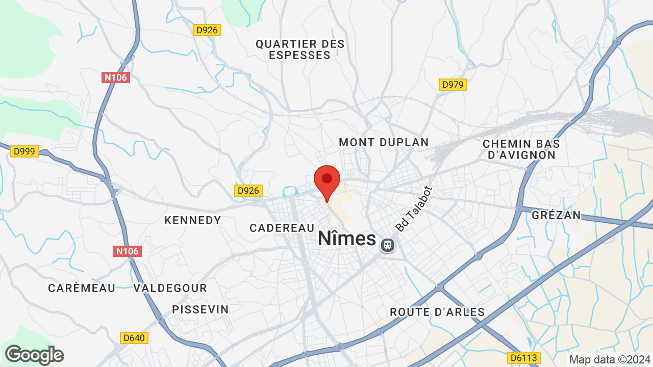 Google map