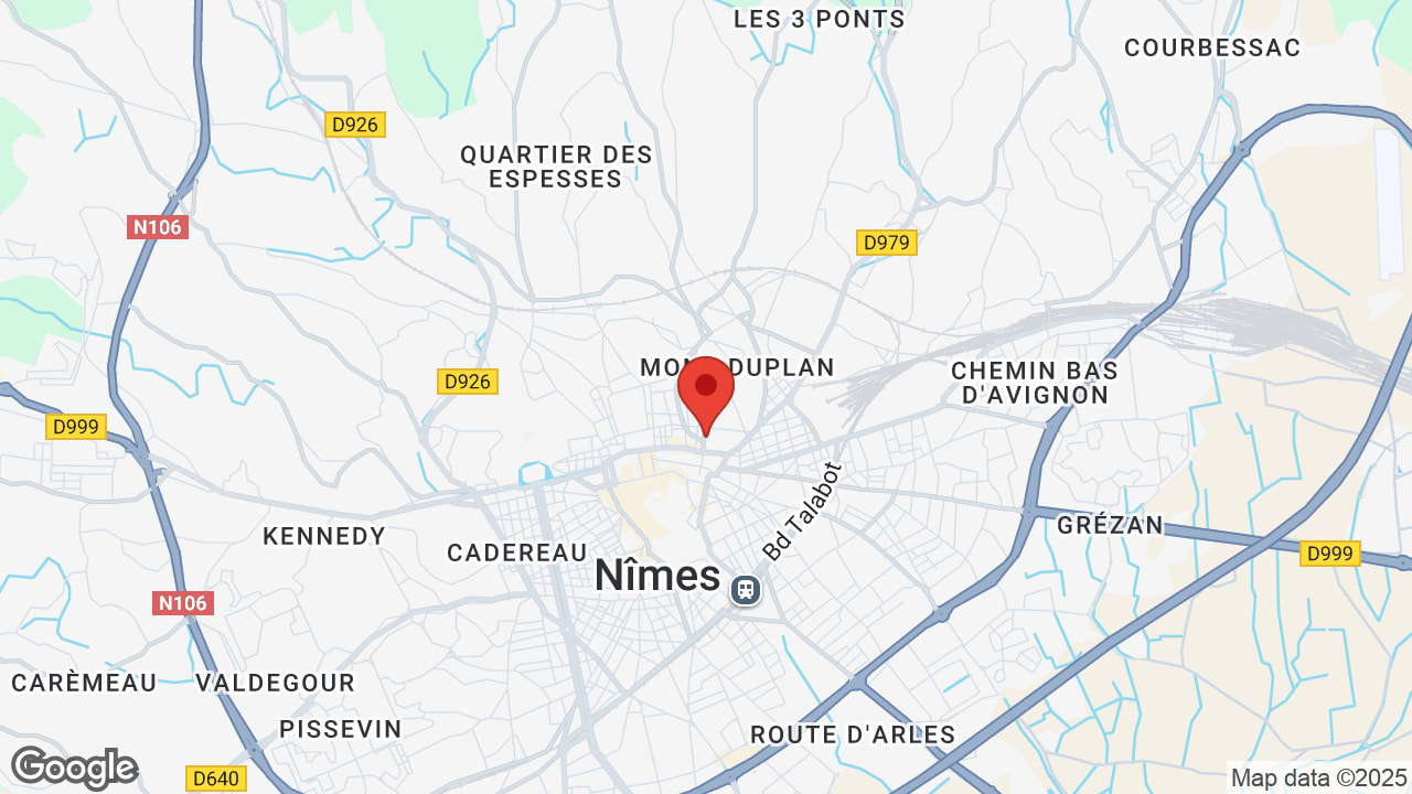 Google map