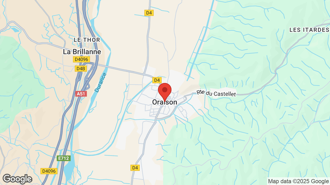 Google map