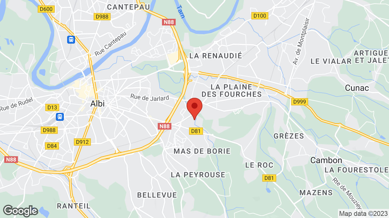 Google map