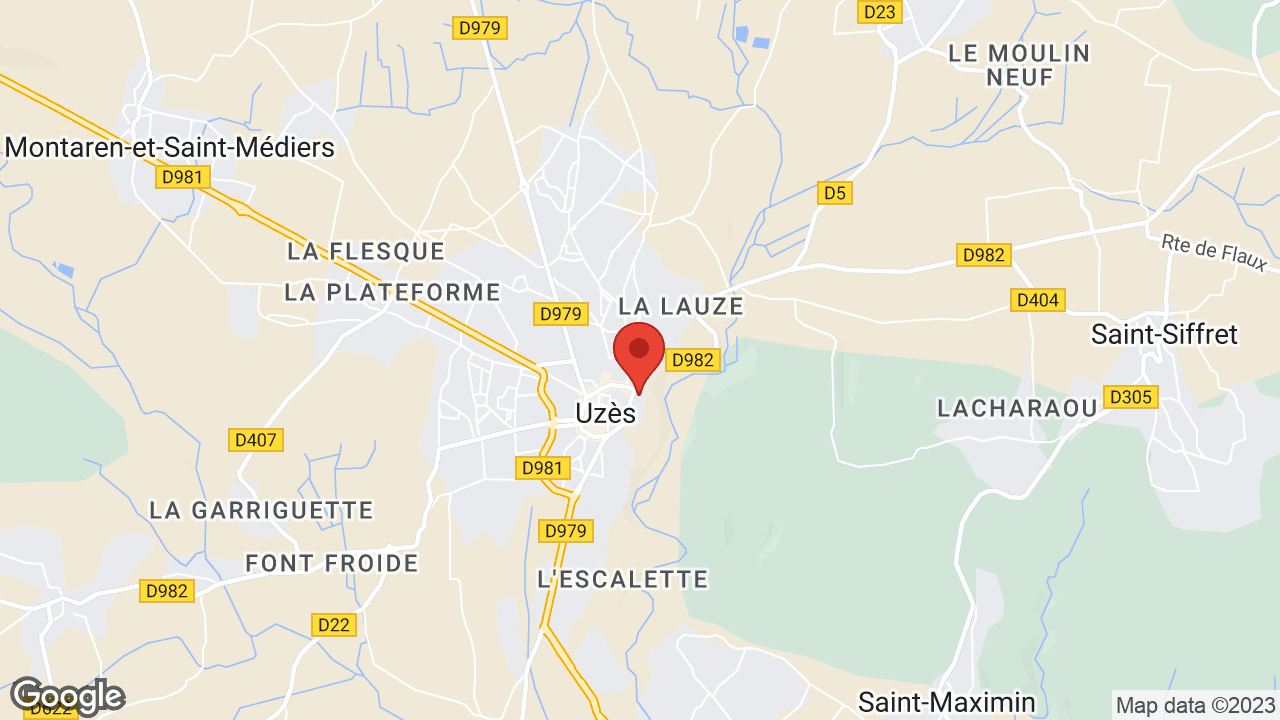 Google map