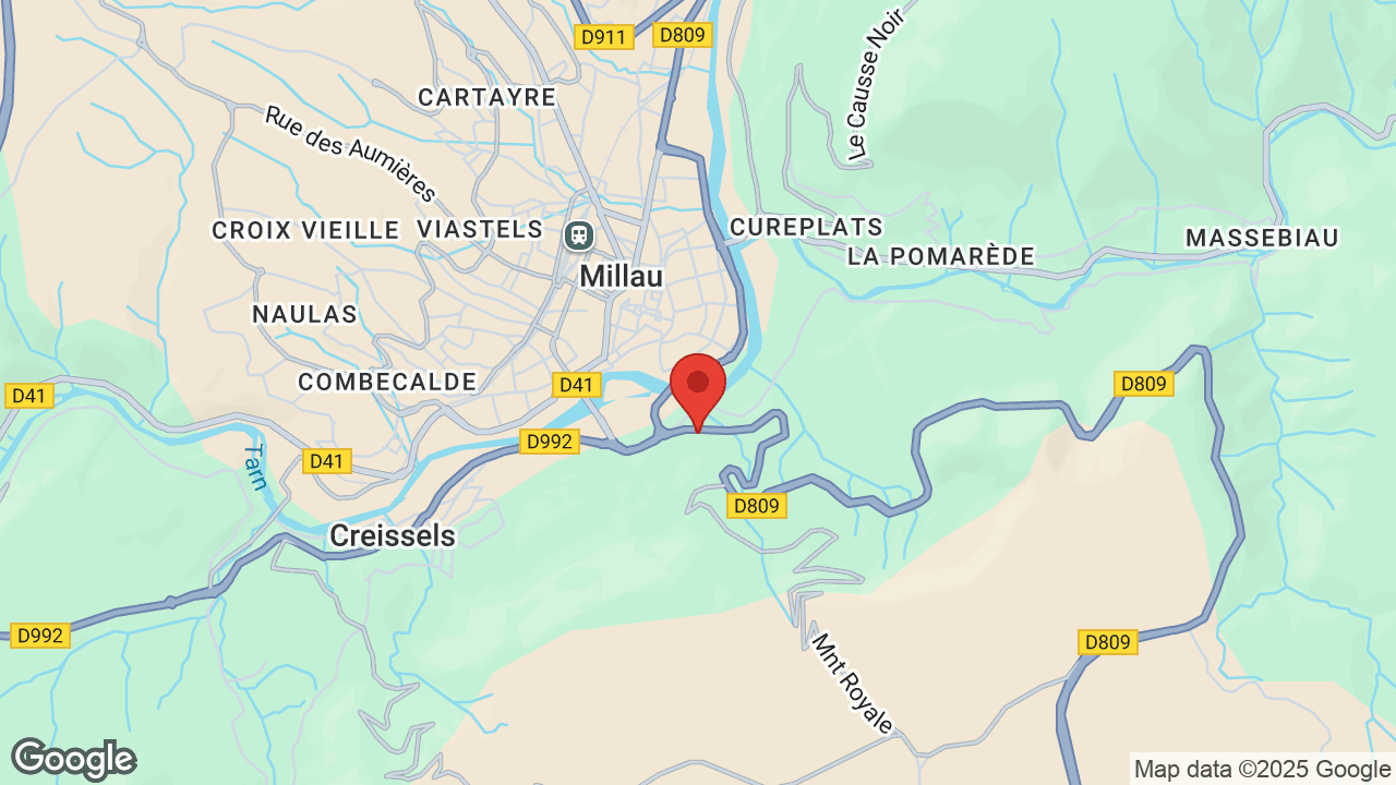 Google map