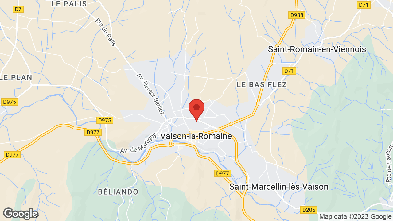 Google map