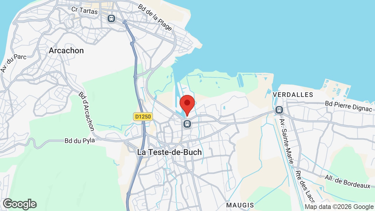 Google map