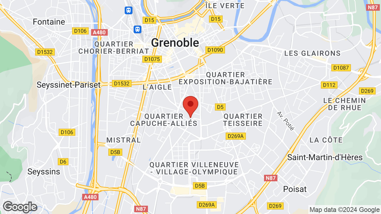Google map